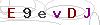 weryfikator